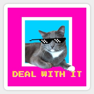 Deal With It! Sunglass Cat Meme Magnet